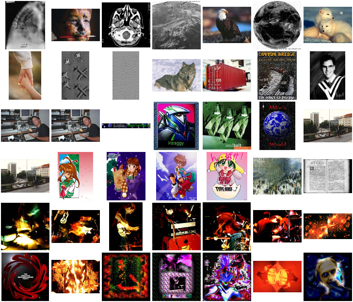 A collage of 42 CIS/COD images found on the Web